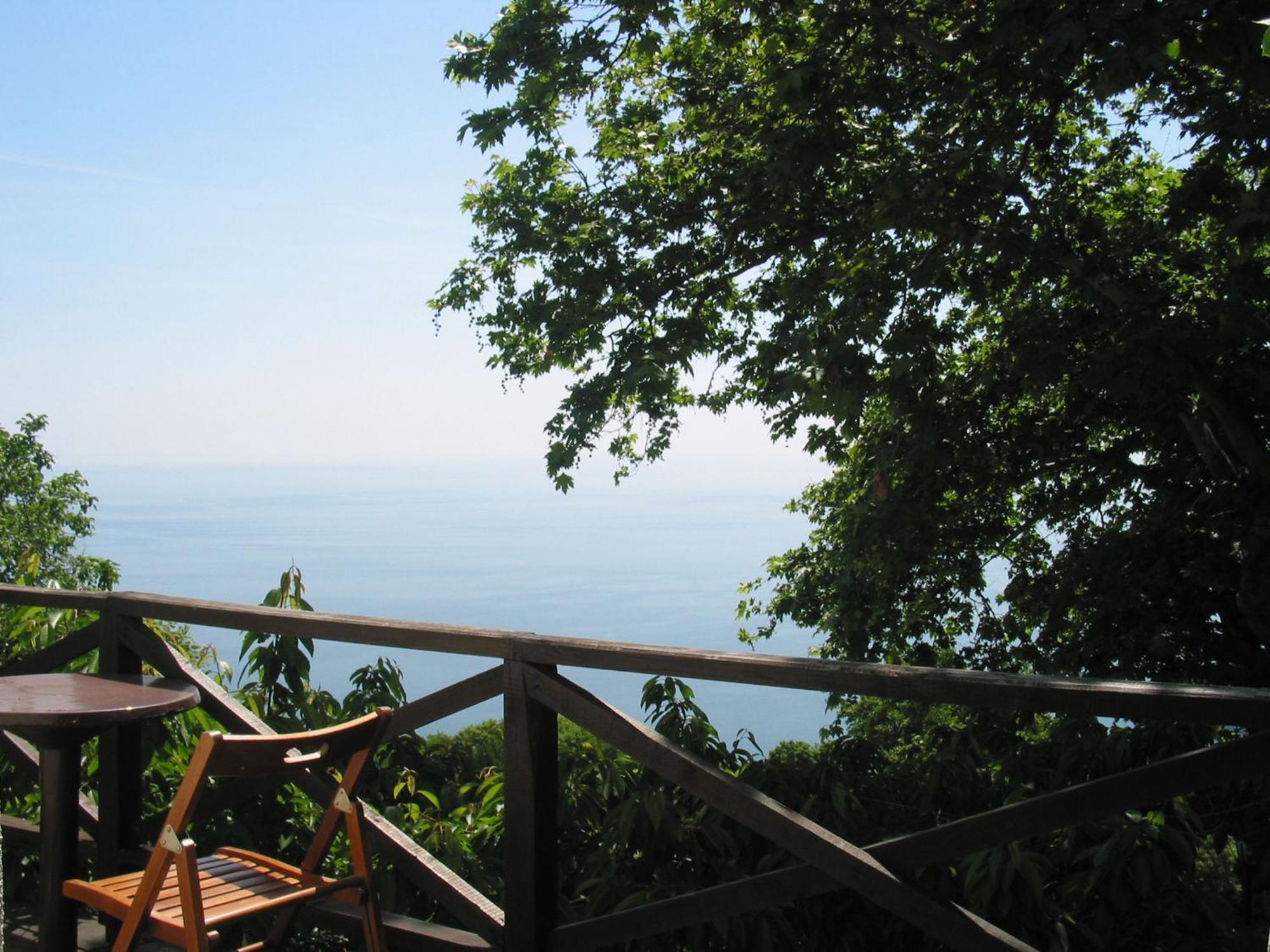Villa Georgie Цагарада Номер фото