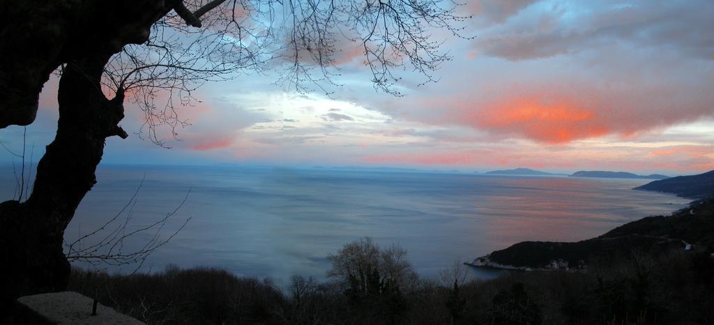 Villa Georgie Цагарада Экстерьер фото